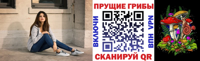 Купить  Ворсма  Галлюциногенные грибы ЛСД 